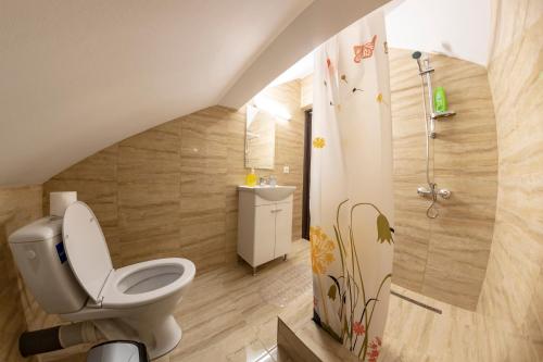 a bathroom with a toilet and a sink at Casa de vacanta Mirela in Novaci-Străini