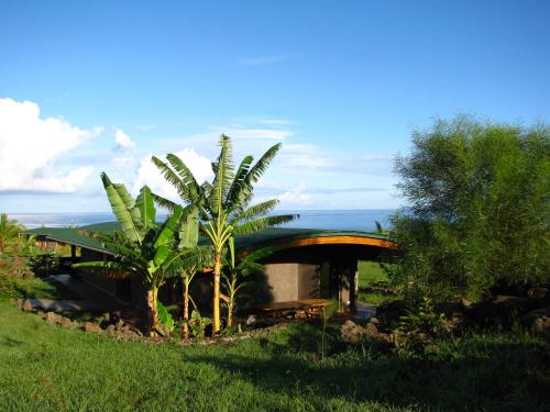a house with a palm tree in the grass at Heva Eco Lodge in Hanga Roa