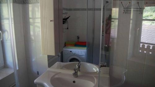 a bathroom with a sink and a washing machine at Weingut & Gästezimmer Pammer in Mitterarnsdorf