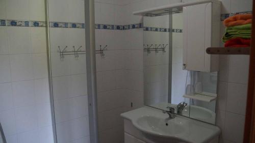 a bathroom with a sink and a shower at Weingut & Gästezimmer Pammer in Mitterarnsdorf