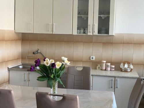 Fotografie z fotogalerie ubytování Apartments Dibra v destinaci Ulcinj