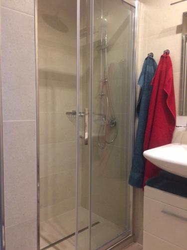una ducha con una puerta de cristal junto a un lavabo en Apartmán nad Imperiálem, en Karlovy Vary