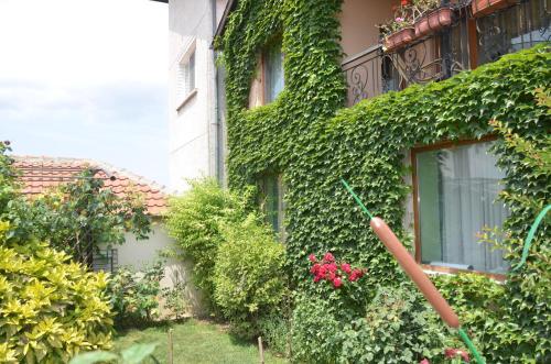 Taman di luar Guest House Amazonka