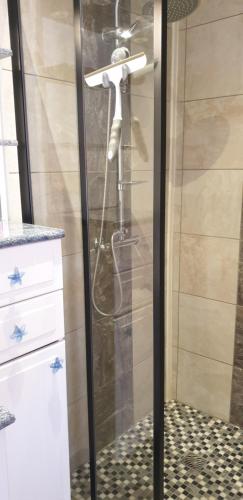 a shower with a glass door in a bathroom at Les Petites Jardaises,6-8pers, tout à pied, plages, centre ville, port in Jard-sur-Mer
