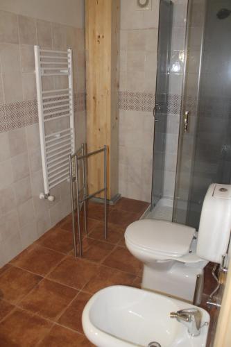 a bathroom with a toilet and a shower at Agriturismo La Caraffara sull' Etna in Puntalazzo