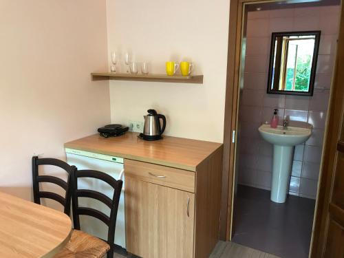 una piccola cucina con un lavello e un piano di lavoro di Vila Saulė a Palanga