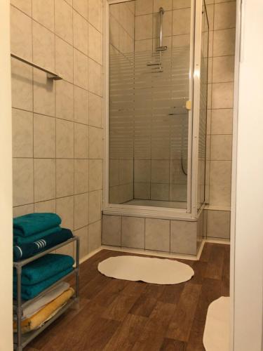 a bathroom with a shower and a white rug at Gästezimmer Siminciuc in Aachen