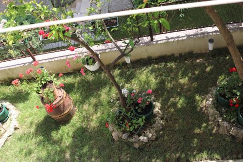 a garden with plants and flowers in a yard at Apartment Topic in Baška Voda
