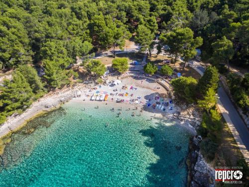 ArtApart Stoja Beach - 50m from the sea !!
