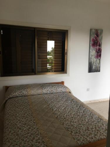 1 cama en un dormitorio junto a una ventana en Christos Apartments en Droushia