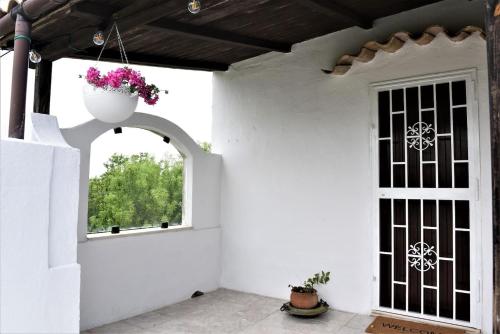 a white room with a window and a door with a flower pot at Il Paradiso dei nidi in Gioia del Colle