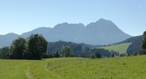 a field of green grass with mountains in the background at Apartment Vorderstoder in Rossleithen