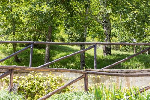 a wooden bridge in a field with trees and grass at Agriturismo di là dall'Acqua in Fivizzano