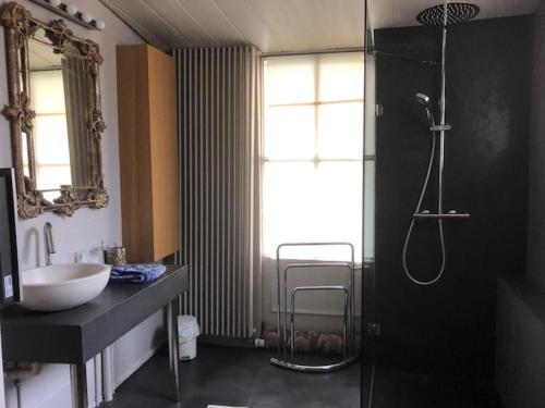 y baño con ducha, lavamanos y ducha. en Les Serruriers - Appartement Spacieux avec Terrasse & Parking, en Estrasburgo