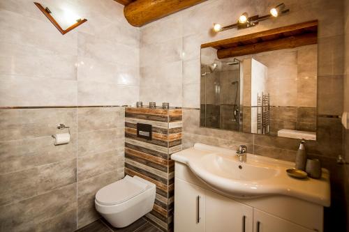 a bathroom with a white toilet and a sink at Apartmány Kubínska hoľa - ZRUB in Dolný Kubín