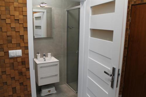 ein Bad mit einer Dusche und einem Waschbecken in der Unterkunft Dream Apartment in Karpacz