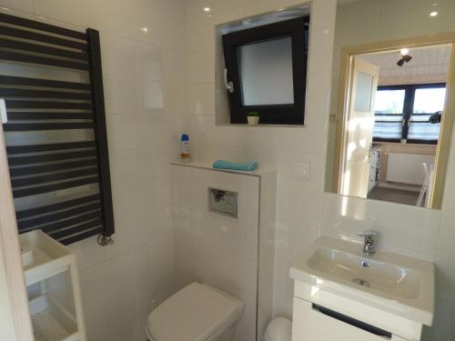 a bathroom with a toilet and a sink and a mirror at Perła Szotlandu II in Władysławowo