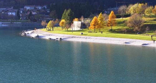 a group of animals on the shore of a body of water at Agriturismo Ai Castioni in Molveno