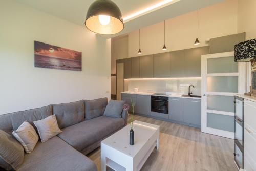 Kuchyň nebo kuchyňský kout v ubytování Gerves Apartamentai
