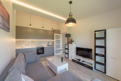 Kuchyň nebo kuchyňský kout v ubytování Gerves Apartamentai