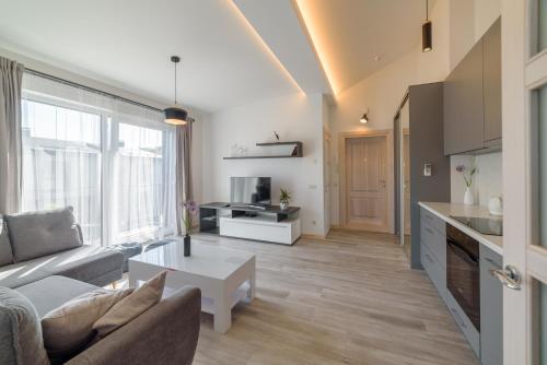 TV a/nebo společenská místnost v ubytování Gerves Apartamentai