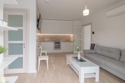 Kuchyň nebo kuchyňský kout v ubytování Gerves Apartamentai