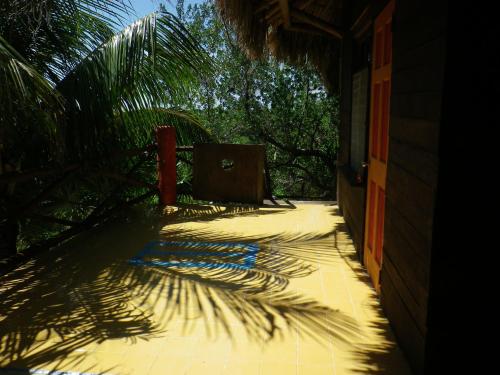 a shadow of a palm tree on a patio at Casa Cereza in Holbox Island