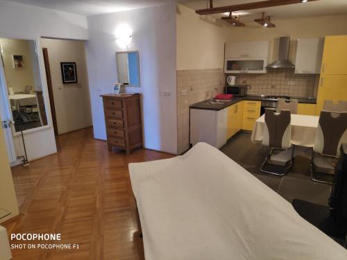 Kuhinja ili čajna kuhinja u objektu Villa Lisinski