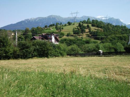 Afbeelding uit fotogalerij van Pensiunea Mir in Bran