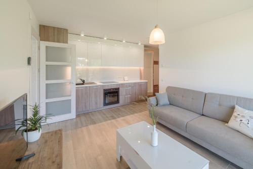 Kuchyň nebo kuchyňský kout v ubytování Gerves Apartamentai