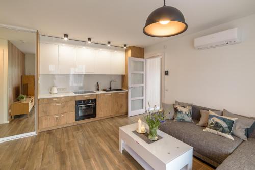 Kuchyň nebo kuchyňský kout v ubytování Gerves Apartamentai