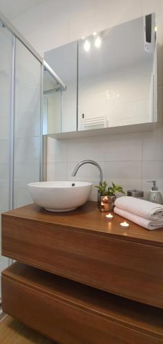 een badkamer met een wastafel op een houten aanrecht bij Apartments Sunny Estate in Zaton