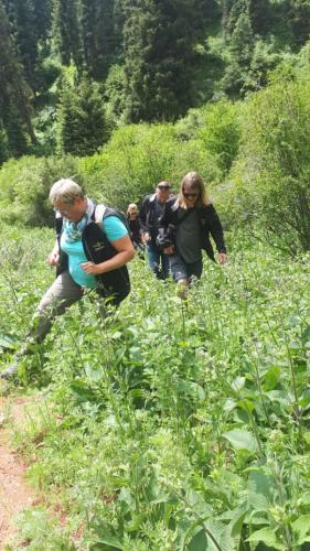 a group of people walking through a field of plants at Emir in Dzhetyoguz