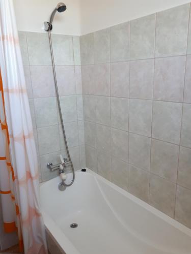 een douche met een douchekop in de badkamer bij Mézeskuckó in Tiszaszőlős