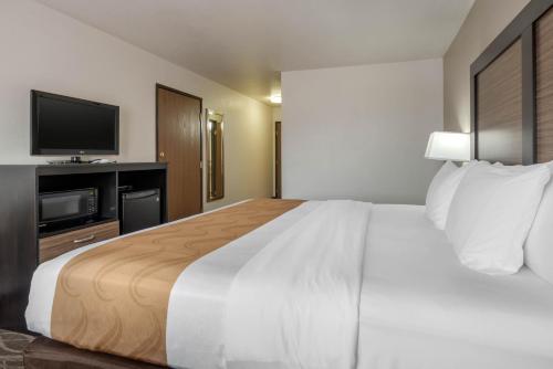 Postel nebo postele na pokoji v ubytování Quality Inn & Suites