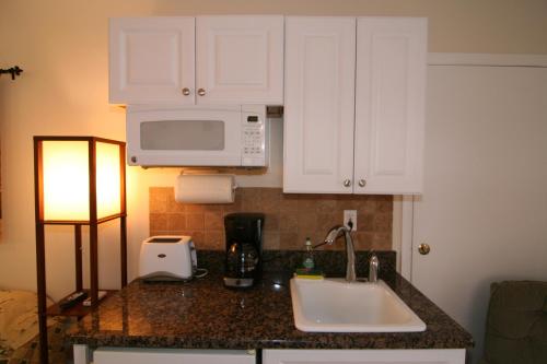 a kitchen counter with a sink and a microwave at Tropical Villas Of Venice Beach in Venice