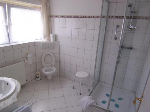 a bathroom with a shower and a toilet and a sink at Gästehaus Casa Cristina in Bad Krozingen