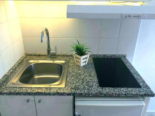um balcão de cozinha com um lavatório e um vaso de plantas em Apartment Jastuk em Belgrado