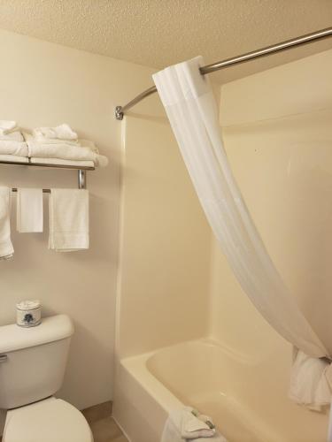 uma casa de banho com um WC e um chuveiro com uma cortina de chuveiro em Hastings Country Inn em Hastings