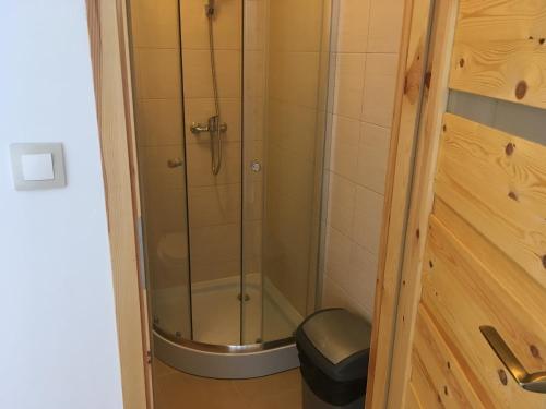 a shower with a glass door in a bathroom at Sielska Chatka Zagaje in Sarbinowo