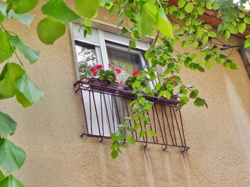a window with a balcony with flowers in it at Apartman Centar in Bački Petrovac