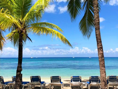a beach with chairs and palm trees and the ocean at Allegro Cozumel All-Inclusive in Cozumel