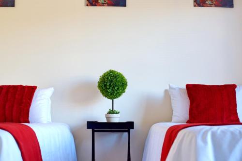 Gallery image of Green Haven Apartments in Ezulwini