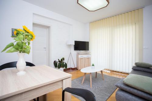 TV a/nebo společenská místnost v ubytování Apartments Baksi