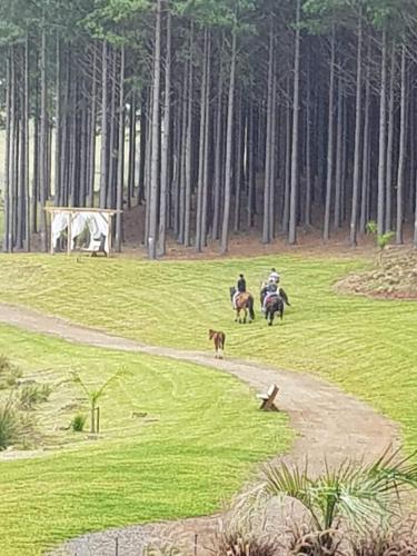 Animales en el tented camp o alrededores