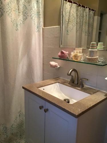 a bathroom with a sink and a shower curtain at Brookview Manor Inn in Canadensis