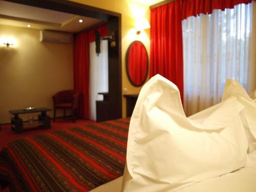 Gallery image of Hotel Dana in Amara
