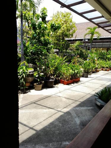 Сад в HOTEL ASRI CIREBON
