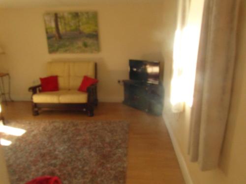 a living room with a chair and a television at Country Cottage in Portarlington
