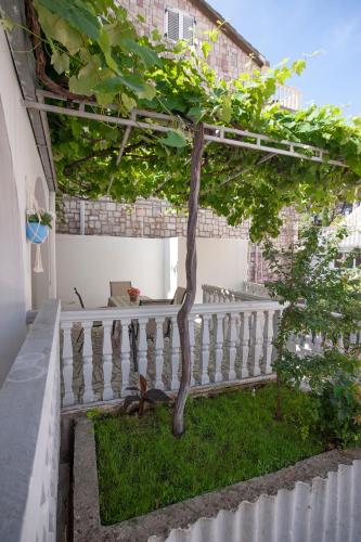 Zahrada ubytování Apartmani Dačo